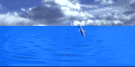 Animations - 421